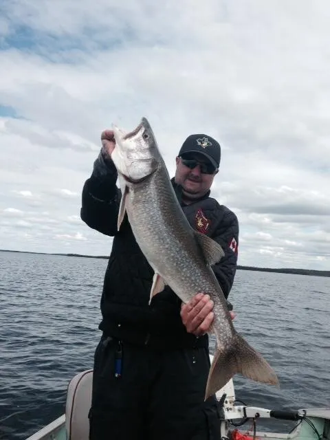 Lake Trout — Open Water