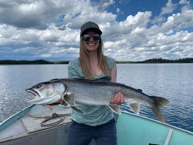 Lake Trout — Big Sky